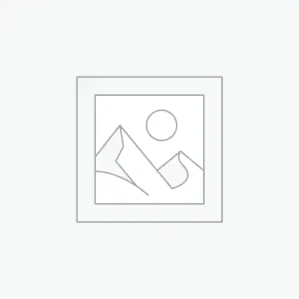 عنصر نائب Placeholder